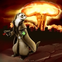 Ferret_Max