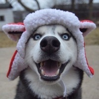 Султанбек Естемес