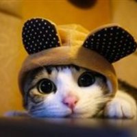 Vova_Ru
