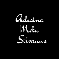 Adesina Meka Silvanus