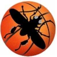 Basketball Bug