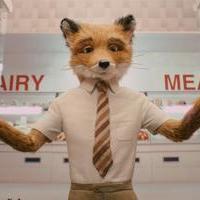 mstrFox's