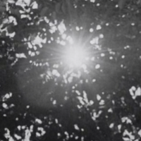 all of the light