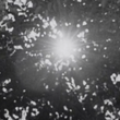 Coub - all of the light