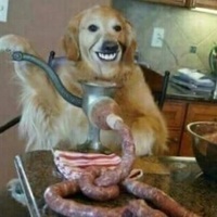 Succ mcgee