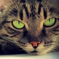 Дмитрий Казанский