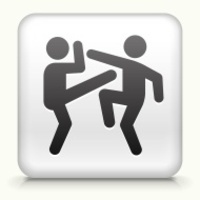 The Art of Fighting