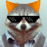 Raccoon