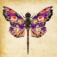 Dragonflies and Dragons 🦋🐲