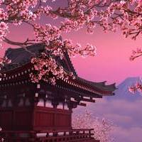 Sakura