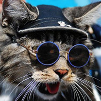 kote_from_russia