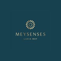 meysenseslucia