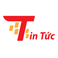 Tổng Hợp Nhanh