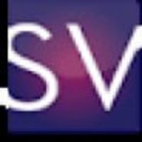 Sky Vista Consulting