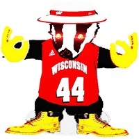 badgers