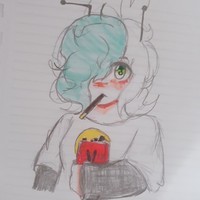 Num S3i