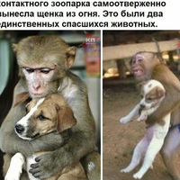 Денис