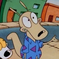 Rocko