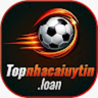 Topnhacaiuytin loan