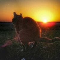 Алексей Попов