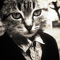 Алексей Пестрецов