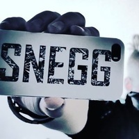 Snegohozard