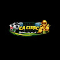 trang cá độ bóng đá hợp pháp