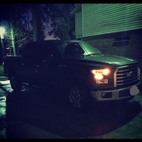 FatStang_GHIF