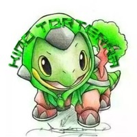 KingTorterra