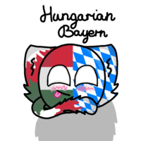 Hungarian_Bayern Mapping