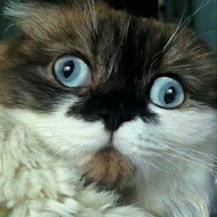 Александр Рязанцев