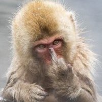 #АдвокатТерразини