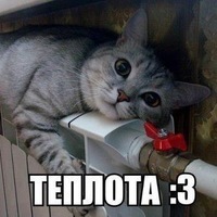 Филлип Хоэнхайм