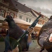 Глеб Фишман