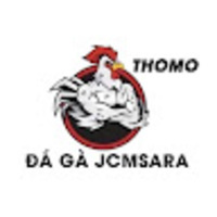 ĐÁ GÀ TRỰC TIẾP THOMO HÔM NAY