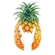 Coub - AblePineapple