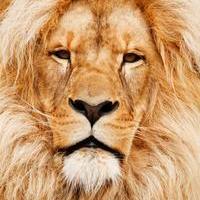 Raees Khalid Vlog