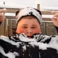 Алекс Мемекс