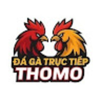 Đá gà trực tiếp Thomo