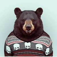 Incognito bear