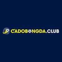 Cá độ bóng đá club