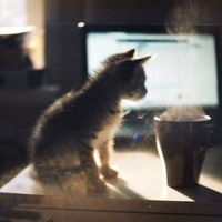 Евгений Корнеев