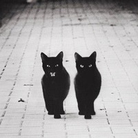 Юрий Солнцев