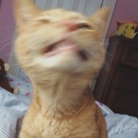 maru