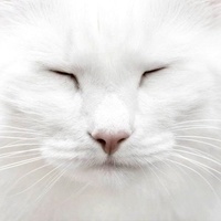 Сергей Вершинин