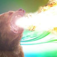 Gidropanda