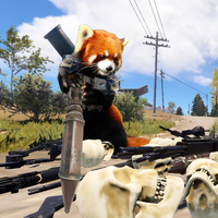 Rusty Panda