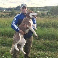 Андрей Манилов
