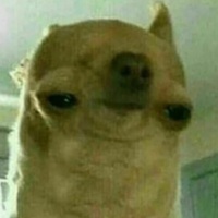 Borkologist