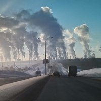 zhivi i procvetai